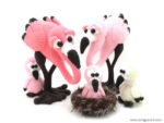 Flamingos